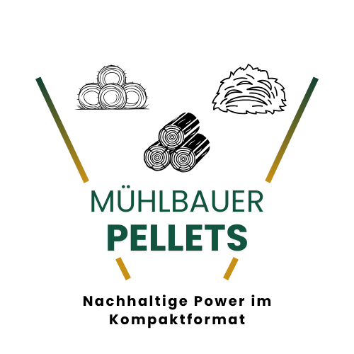 Zurück zur Startseite